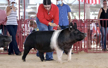 JJ Genetics Winners